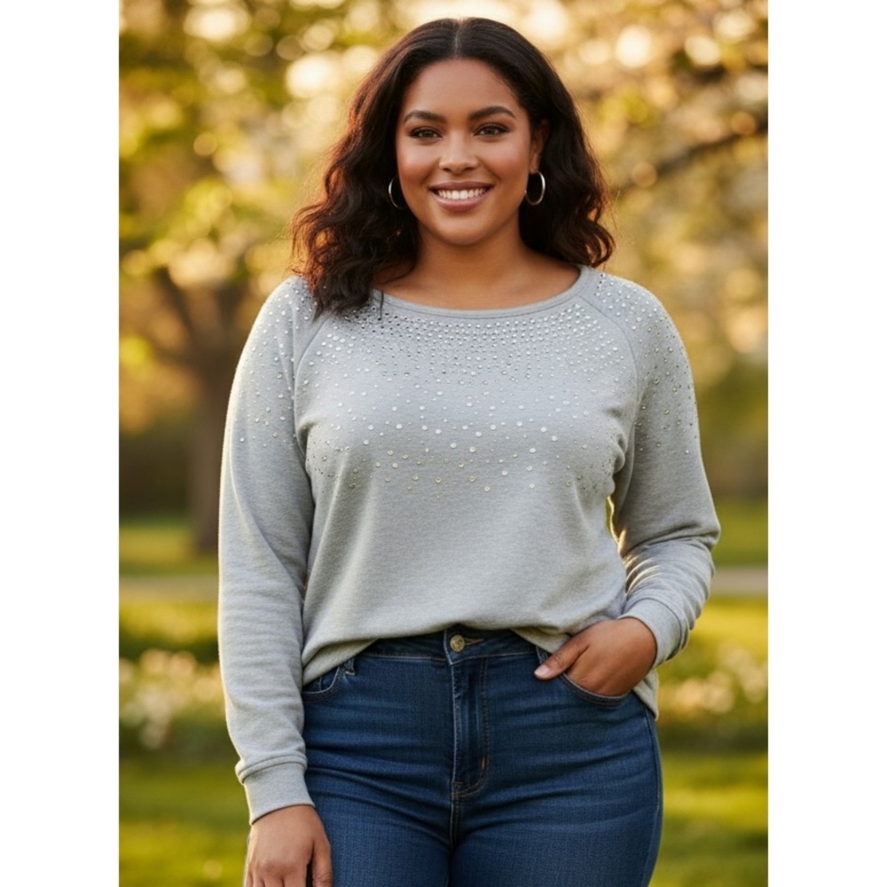 Hannah Embellished Sweatshirt Gray Size 1X
